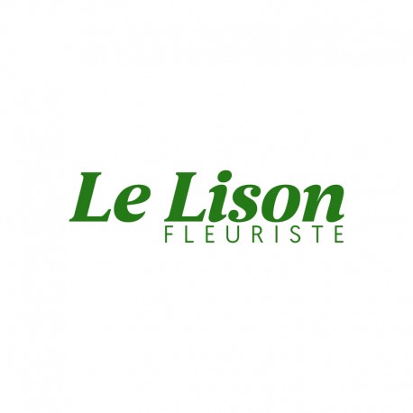 LE LISON (Fleuriste) - Salouël