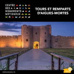Réduction Tours et remparts d’Aigues-Mortes &Wengel