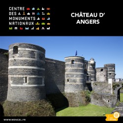 Réduction Château D'Angers &Wengel