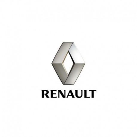 RENAULT Coquelle Automobile - Rosendael