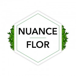 NUANCE FLOR - Amiens