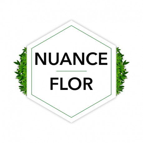 NUANCE FLOR - Amiens