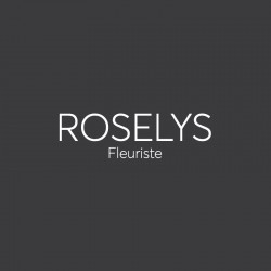 ROSELYS - Dunkerque