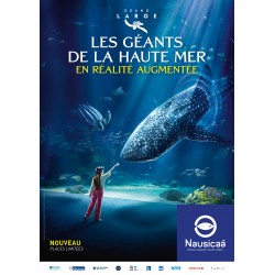 Réduction NAUSICAA &Wengel