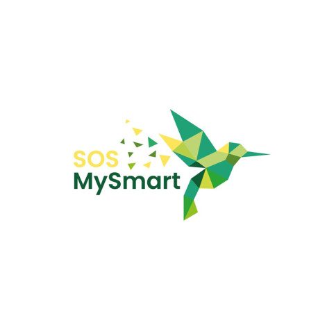 SOS MY SMART - Dunkerque