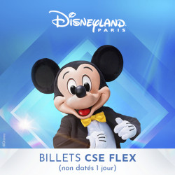 DISNEYLAND Billet FLEX 1Jour Non Daté - E-Billet Immédiat