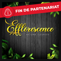EFFLORESCENCE - Bourbourg