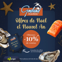 GOELAND MARÉE - Cappelle-la-Grande