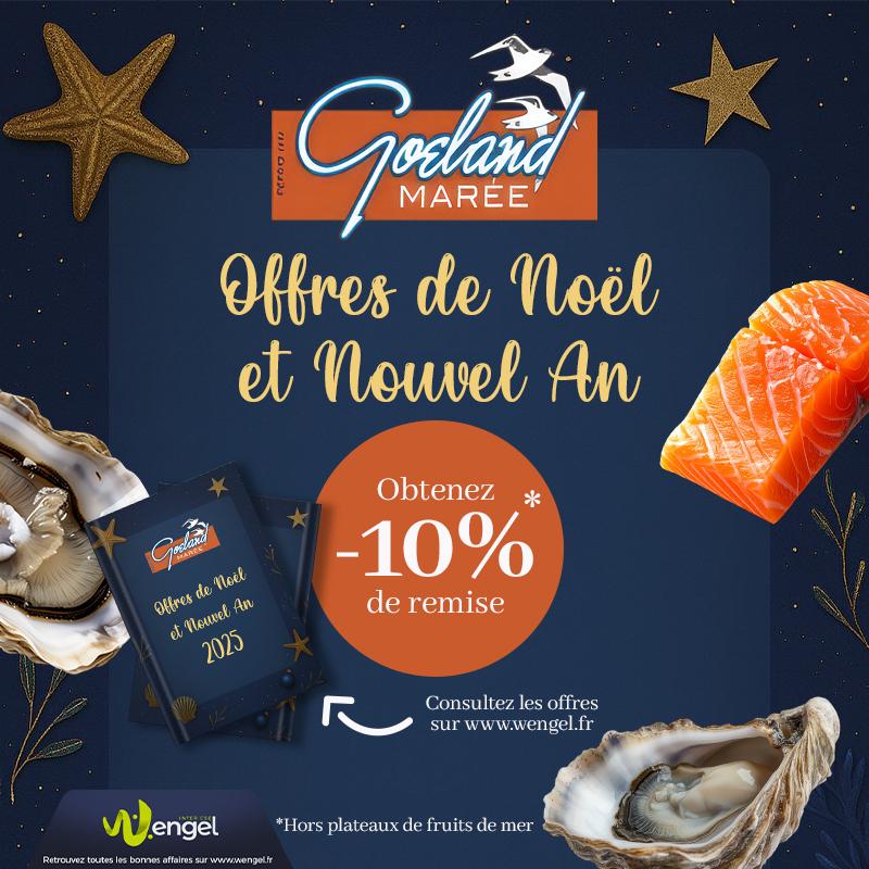 GOELAND MARÉE - Cappelle-la-Grande