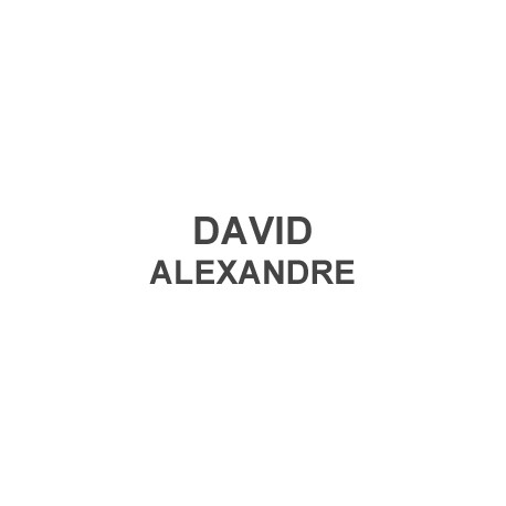 Salon DAVID ALEXANDRE - LONGUENESSE