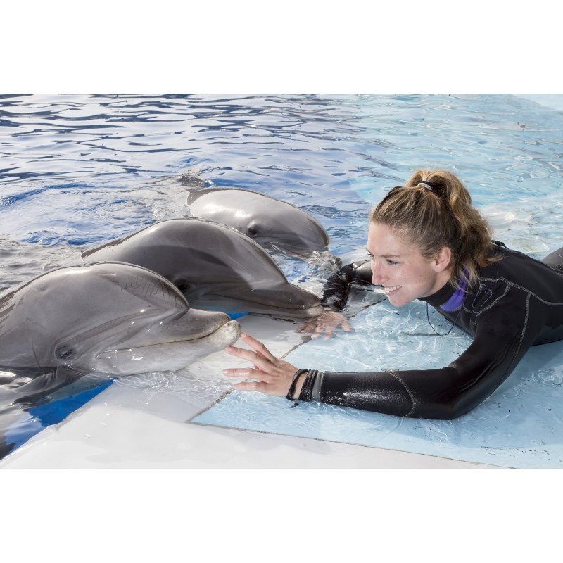 rencontre avec les dauphins marineland pas cher