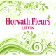 Horvath Fleurs - LIÉVIN