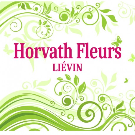 Horvath Fleurs - LIÉVIN