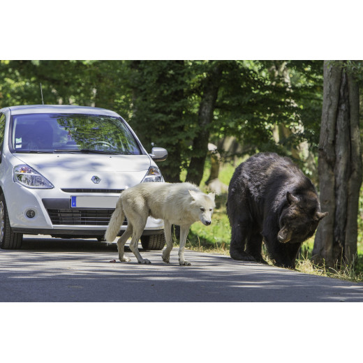 Réduction ZOOPARC ET CHATEAU DE THOIRY E-Billet &Wengel