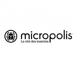 Réduction MICROPOLIS La Cité Des Insectes &Wengel