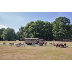 Réduction ZOOPARC ET CHATEAU DE THOIRY E-Billet &Wengel