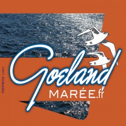 Goeland-maree