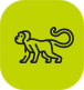 Zoo